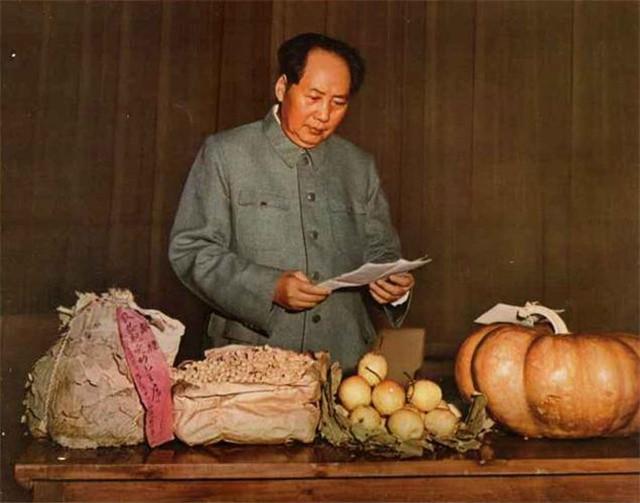 饭粒动态图，毛主席用筷子夹起掉落在桌子上的一粒饭，感叹道农民不容易啊