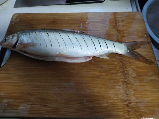 白条鱼喜欢吃什么饵料，钓白条出奇迹，今晚加菜葱油黄尾鱼。