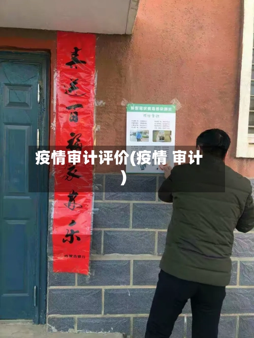 疫情审计评价(疫情 审计)
