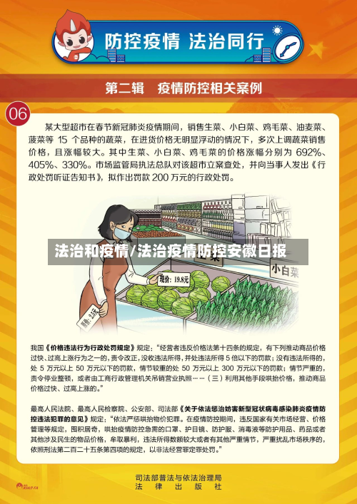 法治和疫情/法治疫情防控安徽日报