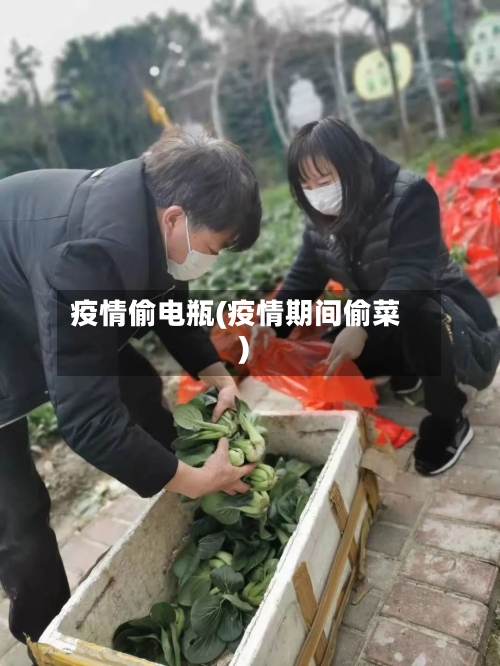 疫情偷电瓶(疫情期间偷菜)