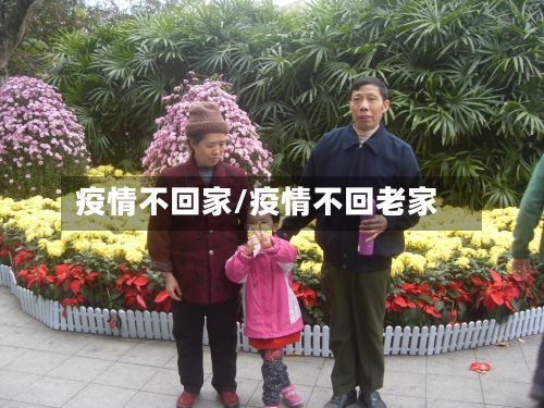 疫情不回家/疫情不回老家